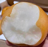 鑫果滋 山東萊陽(yáng)秋月梨 冰糖雪梨羊脂秋月梨黃梨新鮮中秋節禮品水果禮盒 【禮盒裝】5斤6個(gè)特大果 曬單實(shí)拍圖