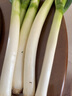 有機(jī)大蔥新鮮蔬菜配送有機(jī)認(rèn)證農(nóng)場(chǎng)直發(fā)順豐蘸醬現(xiàn)挖有機(jī)菜3/5斤 有機(jī)大蔥1500g（山東農(nóng)場(chǎng)） 曬單實(shí)拍圖