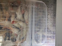寶優(yōu)妮冰箱保鮮盒收納盒廚房冷藏蔬菜魚(yú)盒帶蓋瀝水食物儲存盒廚房用品 DQ9021-7<2只裝>保鮮魚(yú)盒大 曬單實(shí)拍圖