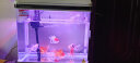 闽江（minjiang）鱼缸水族箱家用屏风生态造景中大型金龙鱼缸懒人客厅免换水鱼缸 纯洁白色（养鱼礼包） 长60.6*宽31.2*高55（单缸体不含柜） 实拍图