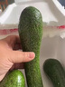沐瑾秘魯進(jìn)口牛油果進(jìn)口酪梨鱷梨新鮮孕婦寶寶水果健身輕食一級果 商超A+級-【小果100-130g】 2個(gè)裝 曬單實(shí)拍圖