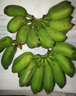 京喜自營(yíng) 廣西網(wǎng)紅小米蕉 青香蕉發(fā)貨放熟吃 新鮮水果一件包郵 青蕉發(fā)貨 凈重5斤 曬單實(shí)拍圖