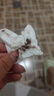 同仁堂抗hpv生物蛋白功能轉(zhuǎn)陰檢測試紙干擾素栓hpv專霉菌性用藥陰道炎 10支裝【降低病毒載量 輕度炎癥】 曬單實拍圖