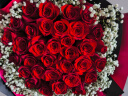 幽客玉品情人节鲜花速递红玫瑰花束表白送女友老婆生日礼物全国同城配送 33朵红玫瑰花束——满天星款 实拍图