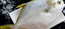 福寧港條凍金鯧魚(yú) 平魚(yú) 扁魚(yú)冷凍水產(chǎn) 生鮮 魚(yú)類(lèi) 國產(chǎn)海鮮 源頭直發(fā) 【3條裝】條凍金鯧魚(yú)400g*3條 曬單實(shí)拍圖