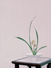 花點(diǎn)時間 365天插花創(chuàng)意課 基礎(chǔ)插花課 花藝入門 輕松插花 一步一圖 新手快速上手的理想指南書 曬單實拍圖