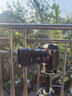 適馬（SIGMA） I系列全畫(huà)幅微單定焦鏡頭 65mm F2 DG DN 索尼口 曬單實(shí)拍圖