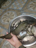 川澤浮漂筒加厚防爆漂桶大號加長(cháng)魚(yú)漂收納桶大容量加厚多功能漂盒 加厚防爆帶芯漂筒 長(cháng)80cm寬50mm 曬單實(shí)拍圖