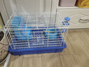 威畢兔籠兔子籠子防濺防噴尿荷蘭豬用品特大號專(zhuān)用花枝鼠室內寵物別墅 藍色中號【基礎套餐】 曬單實(shí)拍圖