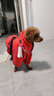 SLPC狗狗沖鋒衣雙層狗狗雨衣秋冬款保暖狗衣服防風(fēng)防雪防雨大型犬衣服 紅色 XL（約28-35斤） 曬單實(shí)拍圖