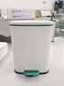 德斯頓（DESDENML）帶蓋靜音緩降家用腳踩垃圾桶 客廳廚房臥室辦公室 13L-砂光銀 曬單實(shí)拍圖
