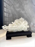 錦呈祥玉石白菜擺件招財納福轉運客廳玄關(guān)辦公室酒柜裝飾品開(kāi)業(yè)喬遷 30cm-白玉白菜擺件 曬單實(shí)拍圖