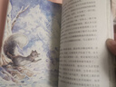 【官方直營(yíng)】西頓動(dòng)物小說全集 彩繪版 第三輯全8冊(cè)小學(xué)生課外書閱讀兒童文學(xué)讀物動(dòng)物科普百科認(rèn)知學(xué)校老師書籍暑期閱讀暑假自主閱讀課外讀物書 曬單實(shí)拍圖