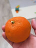 桃李村【JD物流】四川愛(ài)媛38號果凍橙水果新鮮當季整箱柑橘年貨團購送禮 大果 10斤 果凍橙大果甄選 曬單實(shí)拍圖