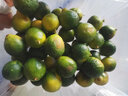寒與會(huì )海南小金桔新鮮水果當季青桔檸檬香水奶茶專(zhuān)用金桔 1斤 曬單實(shí)拍圖
