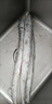 【順豐包郵】東海整條帶魚(yú)整條新鮮冷凍整箱帶魚(yú)東海 整條3斤【每斤4/5條】 曬單實(shí)拍圖