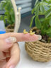 傾愛黃金耳釘女999足金蝴蝶金耳環(huán)新款百搭耳飾七夕禮物送老婆 雙層小蝴蝶足金耳釘-約1.2g 曬單實拍圖