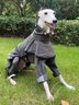 ISPET大型犬狗狗雨衣全包四腳可拆分式雨披耐用舒適防水brotherdog系列 卡其色 XS 曬單實拍圖