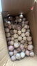 志褚獨頭蒜大蒜頭 2024云南大理紫皮獨蒜 精品新鮮現(xiàn)挖濕蒜 5斤裝【小果2.2-2.5cm】 曬單實拍圖
