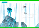 荷蘭科普女王的動(dòng)物書(shū)(共3冊)（常見(jiàn)的動(dòng)物/奇特的動(dòng)物/極地的動(dòng)物） 曬單實(shí)拍圖
