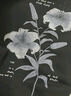 卡賓（CABBEEN）【萬針繡】國風(fēng)輕薄夾克男2024秋季新款潮牌棒球外套東方簡奢風(fēng) 煤黑色01 L /175/50 曬單實拍圖