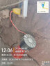 DHZDQ斷電報(bào)警器養(yǎng)殖場(chǎng)三相380V停電報(bào)警器220V缺相魚塘斷電警報(bào)器 紅色喇叭型 220V停電報(bào)警 曬單實(shí)拍圖