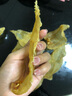 北海印象土鳘公膠花膠魚膠水產(chǎn)干貨深海膠厚營養(yǎng)孕產(chǎn)營養(yǎng)滋補(bǔ) 節(jié)日禮物 M級土鳘公膠100g約7個 曬單實拍圖