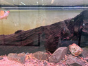 老漁匠南美原生態(tài)魚缸中大型客廳生態(tài)造景溪流底濾一體缸超白玻璃免換水 中式木紋 專業(yè)版【豐富配置 到手養(yǎng)魚】 100x50x153cm 曬單實(shí)拍圖