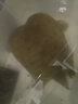老G小黃丫鯉魚(yú)餌料黑坑野釣散炮小黃y鴨窩料搶魚(yú)糗魚(yú)配方 小黃丫腥香1包 曬單實(shí)拍圖