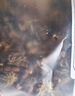 磊祥莊  蜈蚣蜈蚣肉無竹簽蜈蚣干蜈公皮大整條售蝎子 【蝎子-50g】 如需打粉請留言 曬單實拍圖