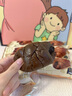 達(dá)利園羊角包巧克力味牛角面包早餐學(xué)生宿舍速食休閑零食品辦公室 巧克力味羊角包750g 曬單實(shí)拍圖