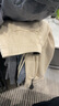 ABERCROMBIE & FITCH男裝24春秋款經(jīng)典小麋鹿抓絨美式運(yùn)動(dòng)衛(wèi)褲長(zhǎng)褲KI134-4098 米白色 L (180/86A) 曬單實(shí)拍圖