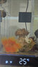 施特馳Seatorch珊瑚海缸光學(xué)鹽度計 海水咸度測量養魚(yú)養殖鹽分濃度測試 黑色SR-100(自動(dòng)溫度補償) 曬單實(shí)拍圖