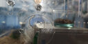 加卡加卡亞克力倉鼠籠子雙層超大透明別墅金絲熊籠子用品玩具套餐大的 單層小號特套餐 曬單實(shí)拍圖