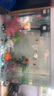 長(cháng)銳小魚(yú)缸小型桌面客廳家用玻璃免換水迷你 CR520+綠野仙蹤景（仿真草） 曬單實(shí)拍圖