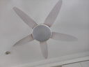 TCL全光譜護眼吸頂風(fēng)扇燈吊扇燈奶油風(fēng)客廳臥室餐廳電扇燈帶風(fēng)扇吊燈 白色42寸變頻-無(wú)極調光 曬單實(shí)拍圖