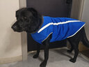 SLPC狗狗衣服金毛大型犬冬季保暖棉衣邊牧哈士奇柯基中型犬秋冬衣服 藍色 6XL建議（60-80斤） 曬單實(shí)拍圖