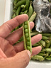 辰實【現(xiàn)摘】豌豆莢 荷蘭豆 云南新鮮甜脆豌豆水果青豌豆 甜豆 5斤（新鮮豌豆莢）劃算 曬單實拍圖