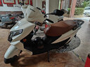 YAMAHA優(yōu)驛UE125超級芯全新整車UU125UY125外賣國四電噴摩托車suzuki UE125/雪蓮白/尾箱 曬單實拍圖