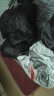 北极狼 BeiJiLang睡袋成人户外旅行冬季四季保暖室内露营双人隔脏棉睡袋1.8KG 拼接橙色 实拍图