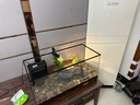 符象烏龜缸帶曬臺別墅養(yǎng)烏龜?shù)母讓Ｓ蒙鷳B(tài)龜缸玻璃底排魚缸深水龜魚缸 80cm套裝五（13件套） 曬單實拍圖