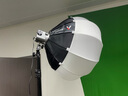 愛(ài)圖仕（Aputure）艾蒙拉cob 60d 60x S 直播補(bǔ)光燈 led發(fā)絲燈視頻攝影手持輪廓光拍照戶外便攜拍照攝影棚拍攝造型光 60d S 球形燈柔光籠套裝 艾蒙拉（amaran） 曬單實(shí)拍圖