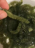 追延海葡萄 鹽漬海葡萄新鮮即食長(zhǎng)壽菜海藻菜海菜壽司食用植物魚子醬 100g*6包海葡萄 配蘸料 曬單實(shí)拍圖