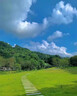 春枝韻草籽護(hù)坡固土四季常青黑麥草籽邊坡綠化草坪種子免修剪狗牙根種籽 混播四季青1斤【常青護(hù)坡】 曬單實拍圖