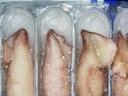 臻鮮蓓海兔子帶籽新鮮帶籽烏小管魷魚籽批發(fā)鮮活冷凍海鮮水產 特級滿籽5斤 8-14只/斤 曬單實拍圖