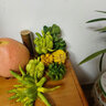 閩域?qū)r金佛手鮮果香櫞佛手當(dāng)季稀奇古怪水果新鮮可食用佛手瓜金黃佛 4斤精選果【單果約1斤左右】 曬單實(shí)拍圖