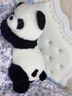 RWTW毛絨玩具大號可愛(ài)熊貓玩偶公仔女生陪睡抱枕送女朋友生日禮物 熊貓趴趴LOVE 1.6米 曬單實(shí)拍圖