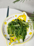 順祥寶可夢(mèng)聯(lián)名卡通碗碟套裝家用兒童可愛吃飯碗湯碗面碗餐具碗盤組合 9.8英寸盤（1個(gè)裝-歡樂(lè)頌） 曬單實(shí)拍圖