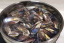 海捕大青口貝鮮活特大海虹淡菜新鮮冷凍海鮮貽貝青口貝水產(chǎn) 3斤實(shí)惠裝 曬單實(shí)拍圖