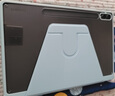阿司奇 適用三星平板Tab S9/S9+保護(hù)套S9FE/+平板電腦保護(hù)殼2023款全包防摔智能休眠喚醒支架皮套外殼 清新粉-亞克力720°旋轉(zhuǎn)-帶筆槽【配鋼化膜+筆】 三星Galaxy Tab S9+ 曬單實(shí)拍圖